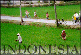 INDONESIA