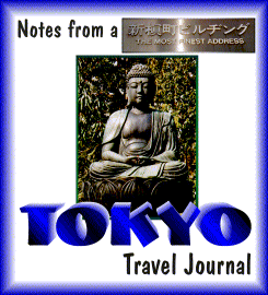 Notes from a Tokyo Travel Journal