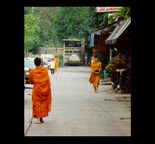 Young Monks in Search of Donations