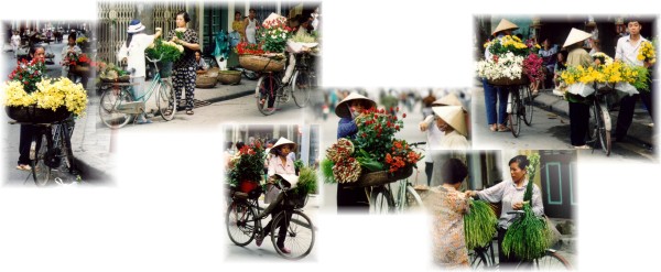 Flowers of Hanoi