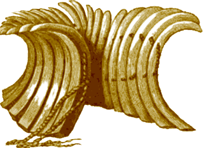 boar-tusk bracelet