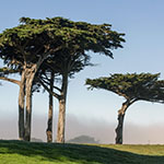 John Shea O'Donnell Photography, San Francisco