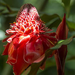 John Shea O'Donnell Photography, San Francisco