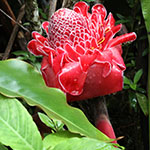 John Shea O'Donnell Photography, San Francisco