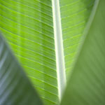 John Shea O'Donnell Photography, San Francisco