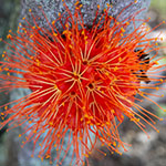 John Shea O'Donnell Photography, San Francisco