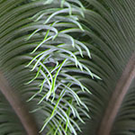 John Shea O'Donnell Photography, San Francisco