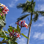 John Shea O'Donnell Photography, San Francisco