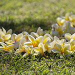 John Shea O'Donnell Photography, San Francisco