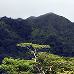 John Shea O'Donnell Photography, San Francisco