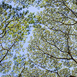 John Shea O'Donnell Photography, San Francisco