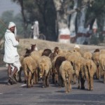 John Shea O'Donnell Photography, San Francisco