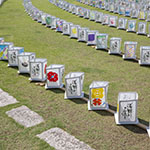 John Shea O'Donnell Photography, San Francisco