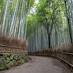 John Shea O'Donnell Photography, San Francisco