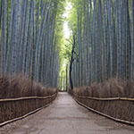 John Shea O'Donnell Photography, San Francisco