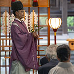 John Shea O'Donnell Photography, San Francisco