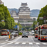 John Shea O'Donnell Photography, San Francisco