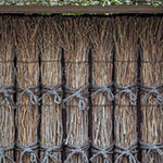 John Shea O'Donnell Photography, San Francisco