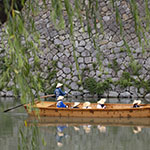 John Shea O'Donnell Photography, San Francisco