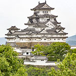 John Shea O'Donnell Photography, San Francisco