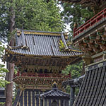 John Shea O'Donnell Photography, San Francisco