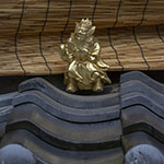 John Shea O'Donnell Photography, San Francisco