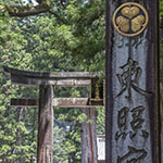 John Shea O'Donnell Photography, San Francisco