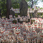 John Shea O'Donnell Photography, San Francisco