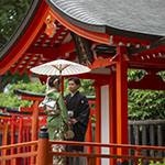 John Shea O'Donnell Photography, San Francisco