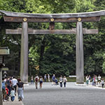 John Shea O'Donnell Photography, San Francisco