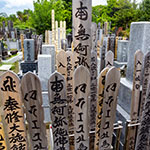 John Shea O'Donnell Photography, San Francisco