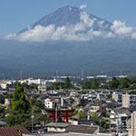 John Shea O'Donnell Photography, San Francisco
