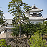 John Shea O'Donnell Photography, San Francisco