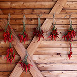 John Shea O'Donnell Photography, San Francisco