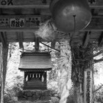 John Shea O'Donnell Photography, San Francisco