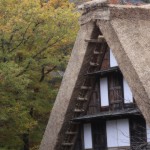 John Shea O'Donnell Photography, San Francisco