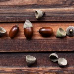 John Shea O'Donnell Photography, San Francisco