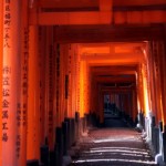 John Shea O'Donnell Photography, San Francisco