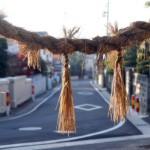 John Shea O'Donnell Photography, San Francisco