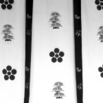 John Shea O'Donnell Photography, San Francisco