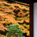 John Shea O'Donnell Photography, San Francisco