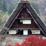 John Shea O'Donnell Photography, San Francisco