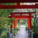 John Shea O'Donnell Photography, San Francisco