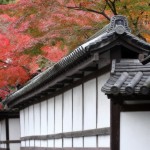 John Shea O'Donnell Photography, San Francisco