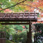 John Shea O'Donnell Photography, San Francisco