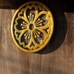 John Shea O'Donnell Photography, San Francisco