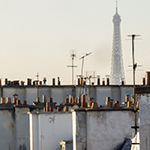 John Shea O'Donnell Photography, San Francisco