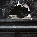 John Shea O'Donnell Photography, San Francisco