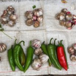 John Shea O'Donnell Photography, San Francisco