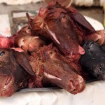 John Shea O'Donnell Photography, San Francisco